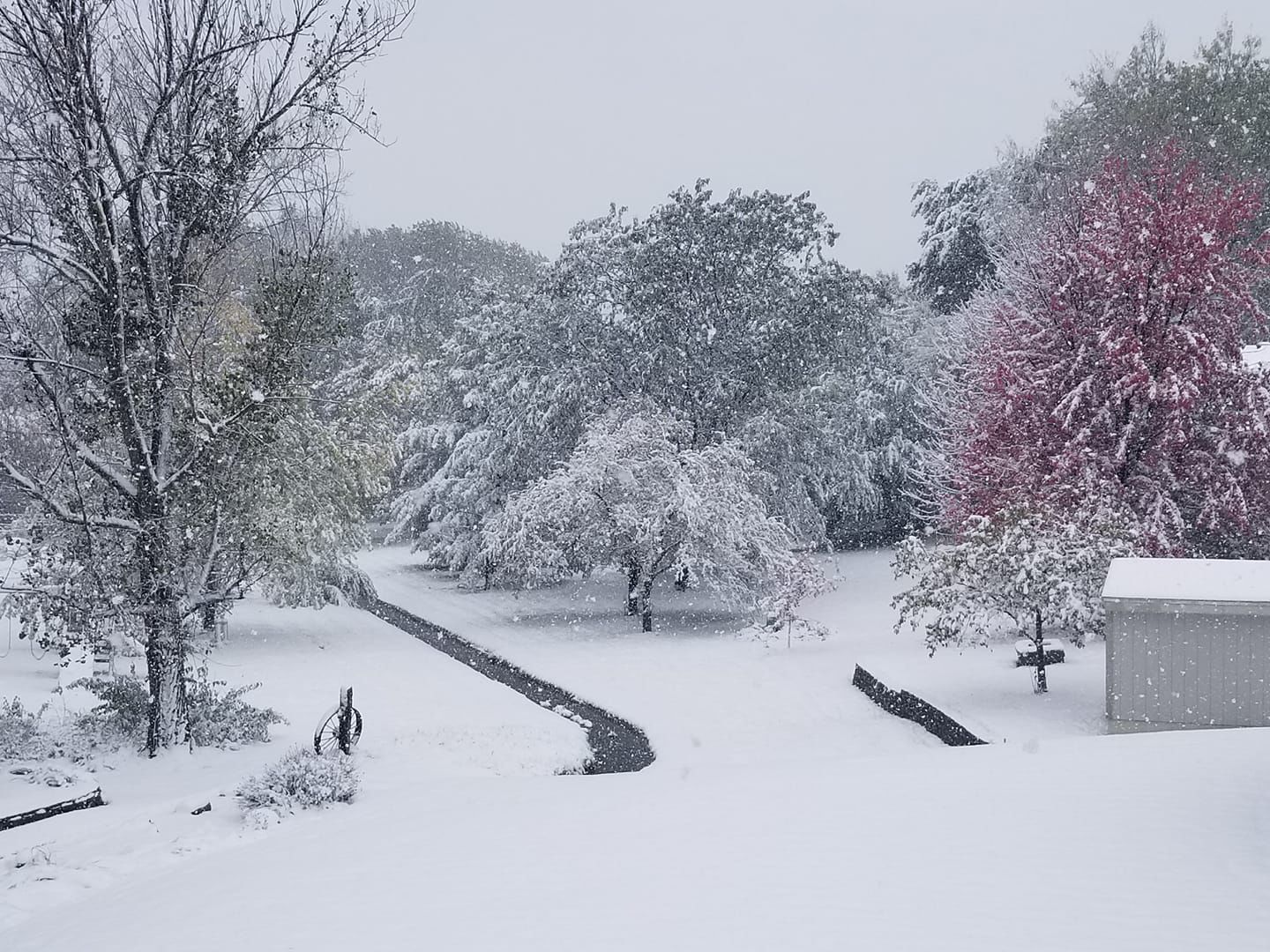 Snow, 10/14